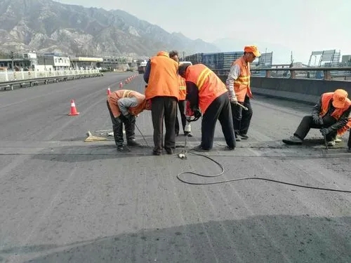 广阳道路桥梁病害治理